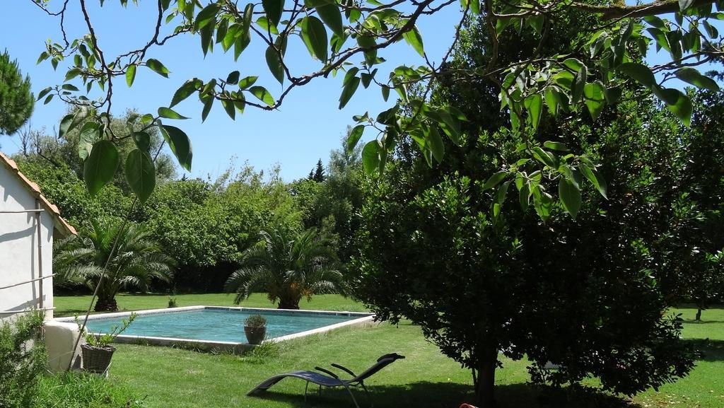 アルバロン Mas De Bouvet En Camargue Bed & Breakfast エクステリア 写真