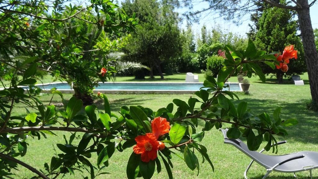 アルバロン Mas De Bouvet En Camargue Bed & Breakfast エクステリア 写真