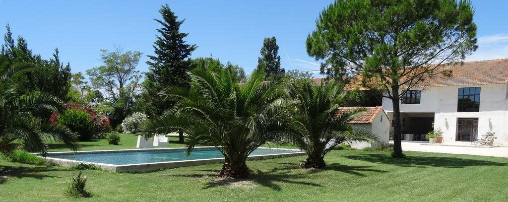 アルバロン Mas De Bouvet En Camargue Bed & Breakfast エクステリア 写真
