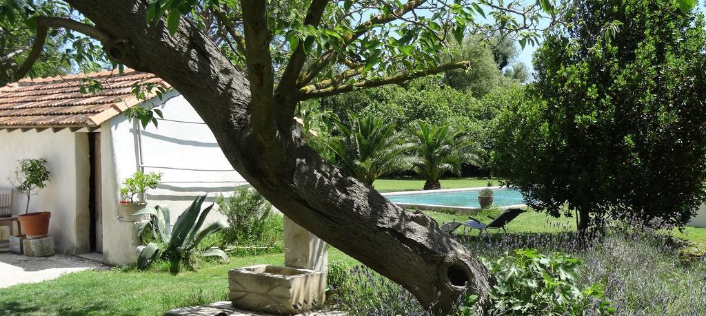 アルバロン Mas De Bouvet En Camargue Bed & Breakfast エクステリア 写真