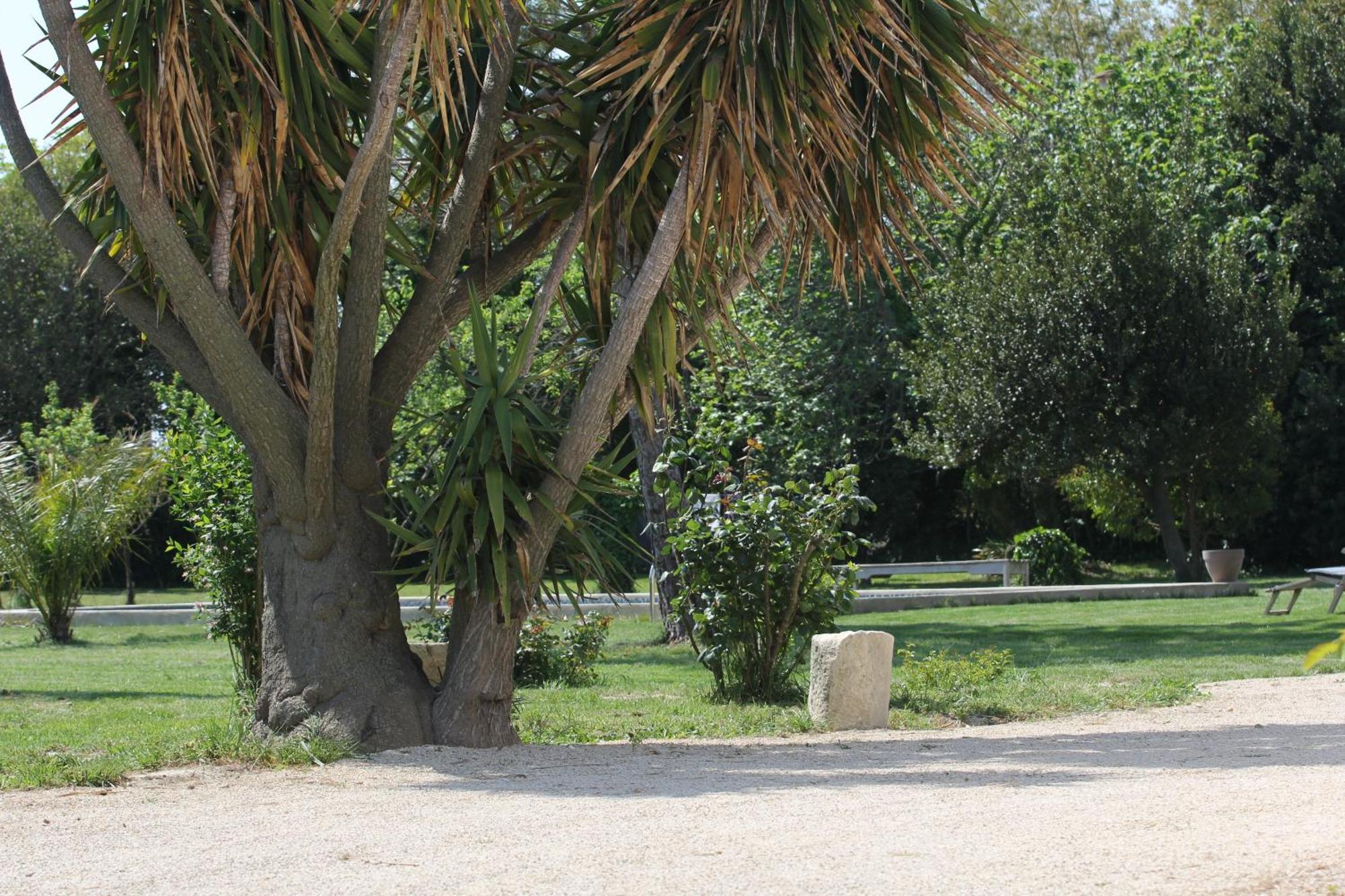 アルバロン Mas De Bouvet En Camargue Bed & Breakfast エクステリア 写真